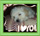 Foto da cachorrinha Rebheck