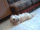 foto do c�o Lost