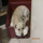 foto do c�o Baixinho