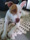 Foto da cachorrinha Sharon