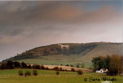 Sara Wright : General Landscapes : White Horse at Westbury, Wiltshire, England 1999. The oldest of the seven white horses in Wiltshire, dates from about 1778