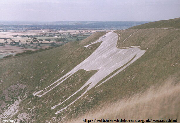 Visite http://wiltshirewhitehorses.org.uk/wesside.html. The Westbury white horse seen from the side, from south west of the horse on Westbury Hill